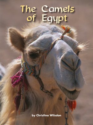 cover image of The Camels of Egypt